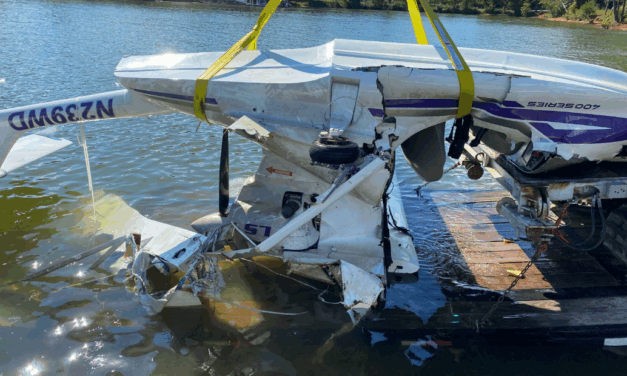 Scoda Super Petrel LS N239WD Wire-Strike Crash