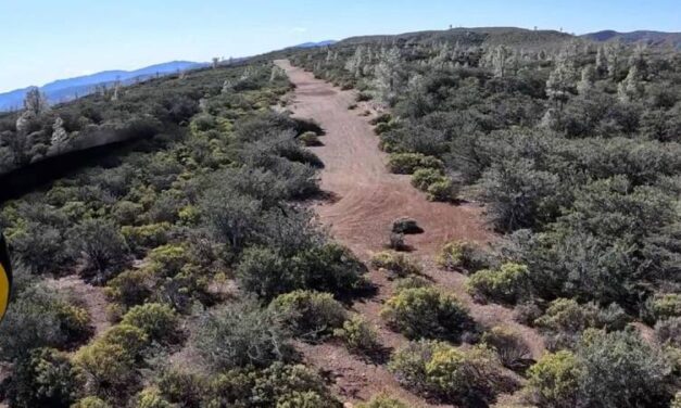Walker Ridge Airstrip restoration